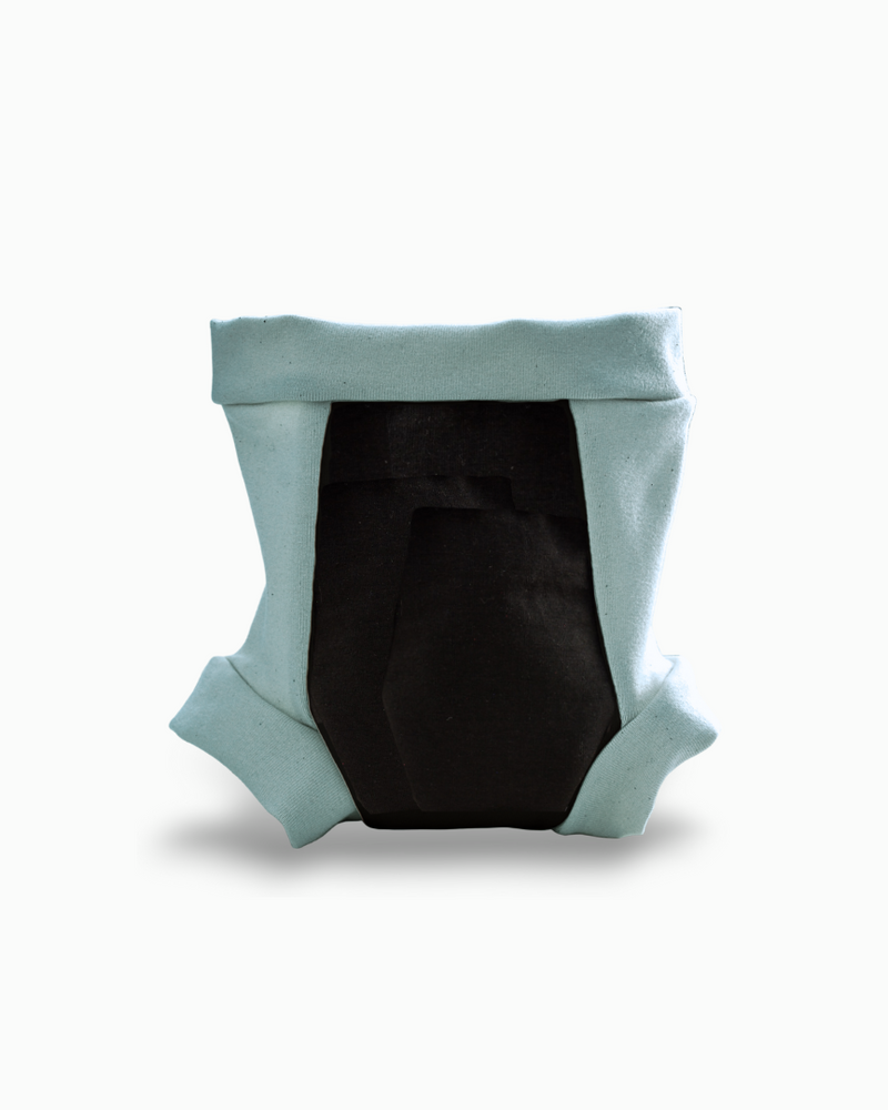 Toddler's Smoothness Organic Cotton Training Underwear 10X Absorbent